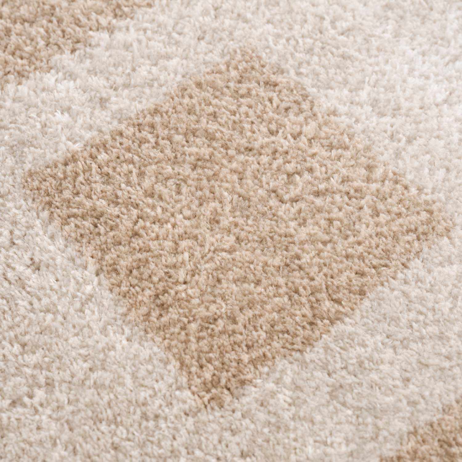 Beynon Beige Washable Area Rug - Ornate Home