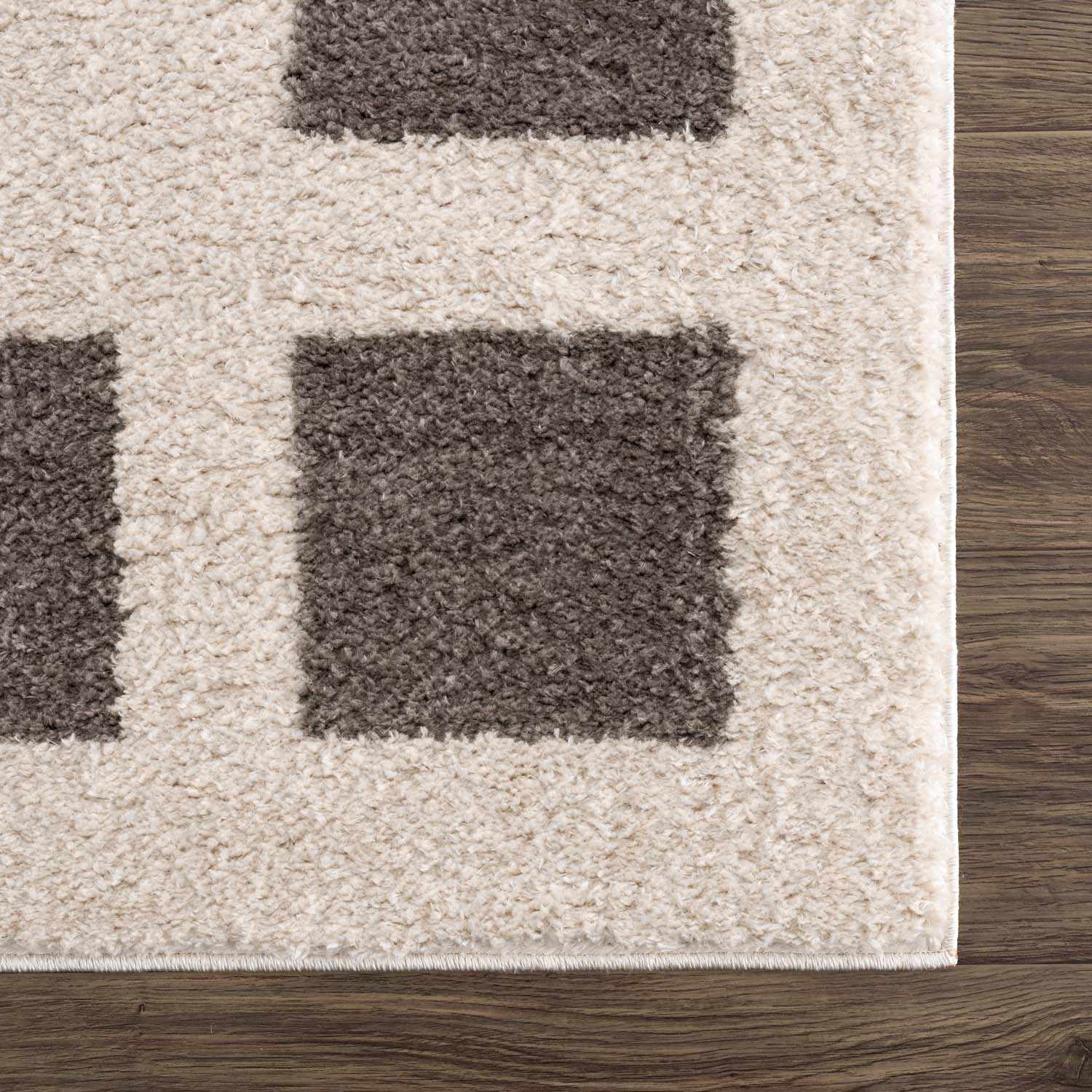 Beynon Charcoal Washable Area Rug - Ornate Home