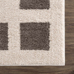 Beynon Charcoal Washable Area Rug - Ornate Home