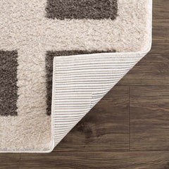 Beynon Charcoal Washable Area Rug - Ornate Home