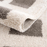 Beynon Charcoal Washable Area Rug - Ornate Home