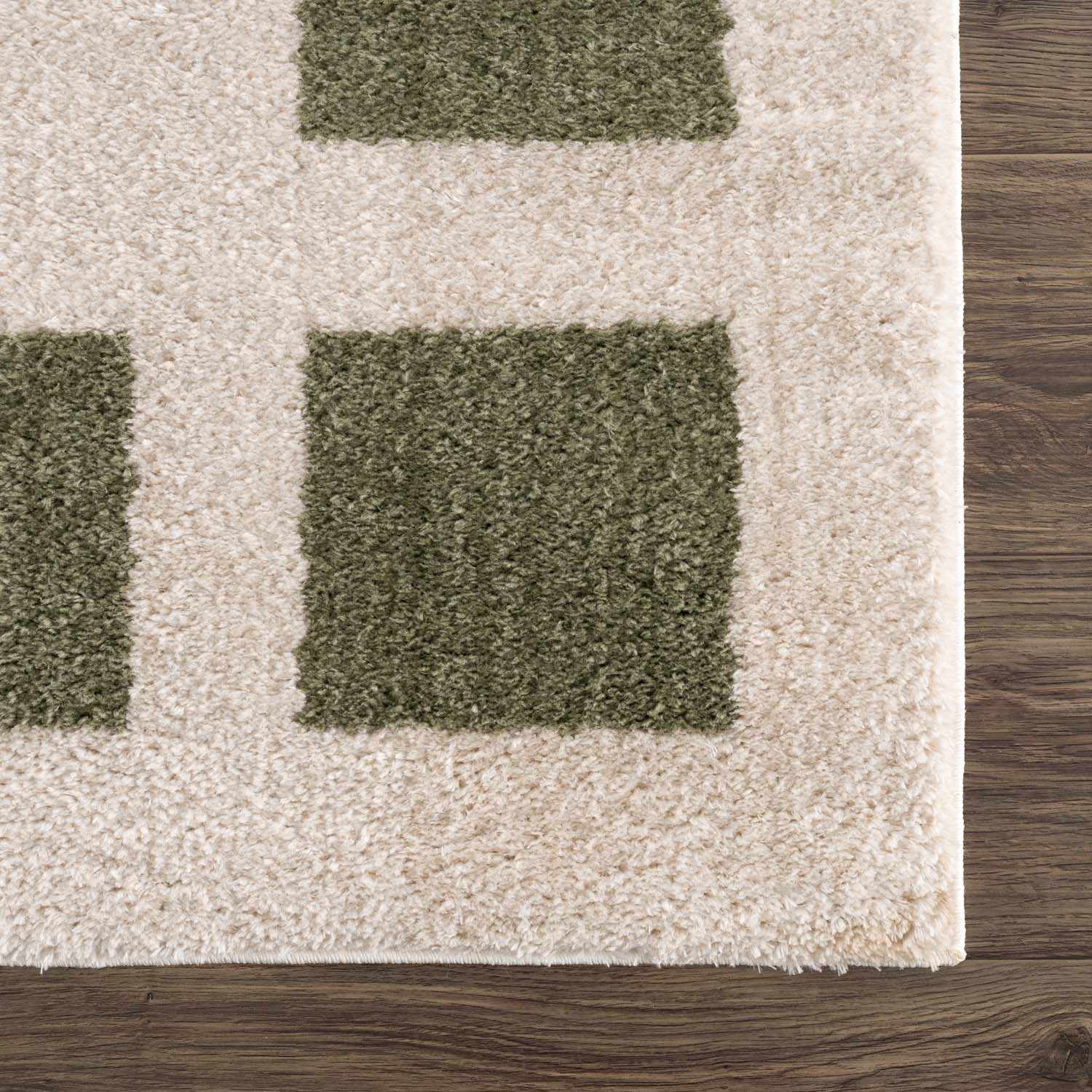 Beynon Green Washable Area Rug - Ornate Home