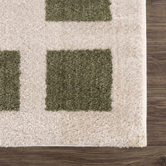 Beynon Green Washable Area Rug - Ornate Home