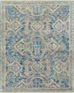 Beyza Area Rug - Clearance - Ornate Home