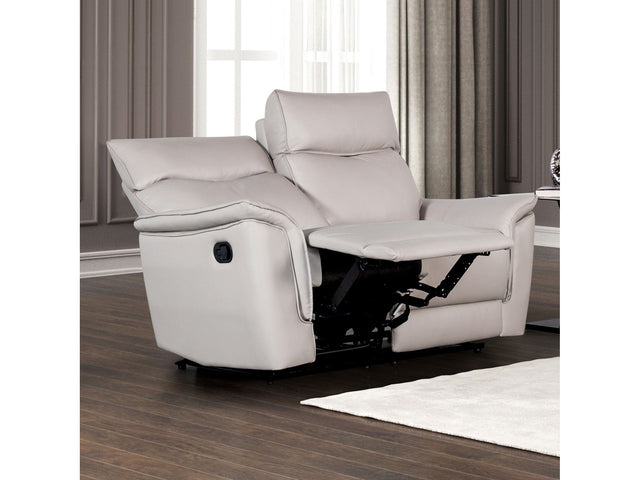 Bienne Taupe Reclining Loveseat - Ornate Home