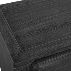 Bierk Black/Woodtone Dark Stain 2 Door Cabinet - Ornate Home