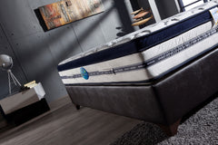 Biorytmic 13.5" Eurotop Extra Firm Mattress - Ornate Home