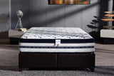 Biorytmic 13.5" Eurotop Extra Firm Mattress - Ornate Home