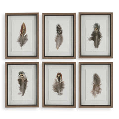 Birds Of A Feather Black/Brown/White Framed Prints (Set of 6) - Ornate Home