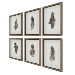 Birds Of A Feather Black/Brown/White Framed Prints (Set of 6) - Ornate Home