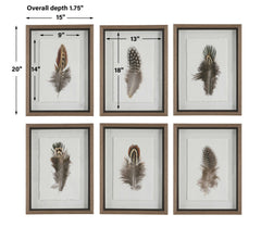 Birds Of A Feather Black/Brown/White Framed Prints (Set of 6) - Ornate Home