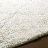 Birdwell Area Rug - Clearance - Ornate Home