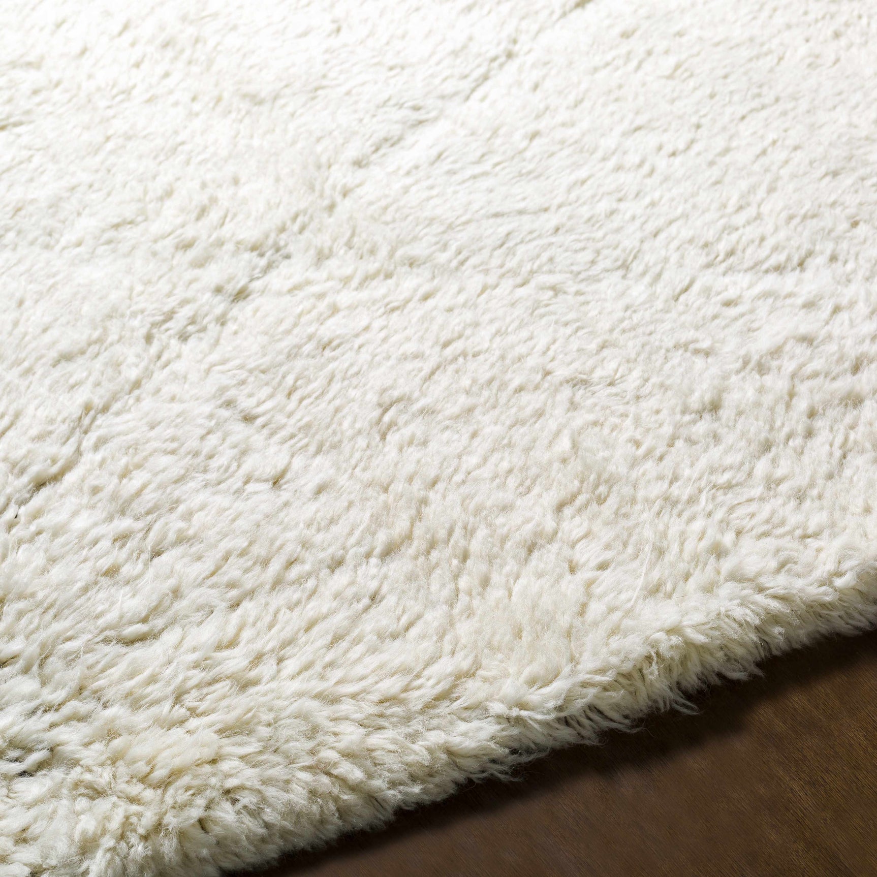 Birdwell Area Rug - Clearance - Ornate Home