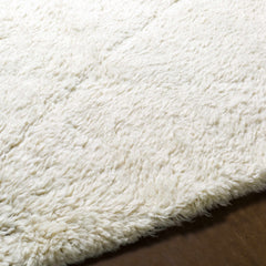 Birdwell Area Rug - Clearance - Ornate Home