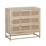 Biscayne Brown/Gold Chest - Ornate Home