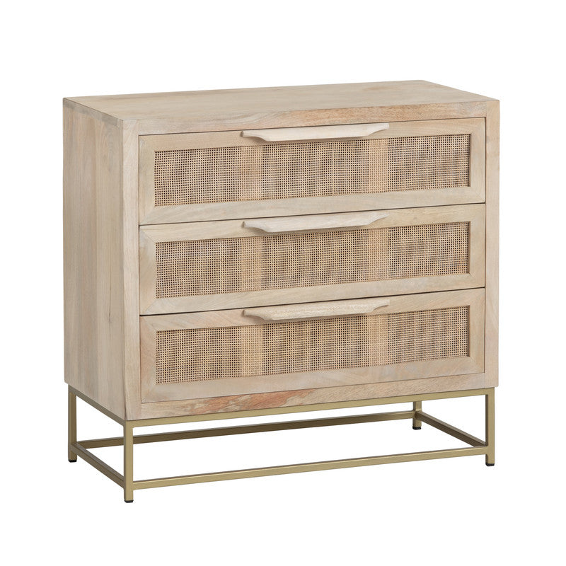 Biscayne Brown/Gold Chest - Ornate Home