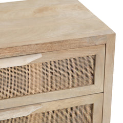 Biscayne Brown/Gold Chest - Ornate Home