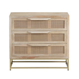 Biscayne Brown/Gold Chest - Ornate Home