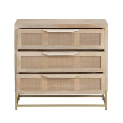 Biscayne Brown/Gold Chest - Ornate Home
