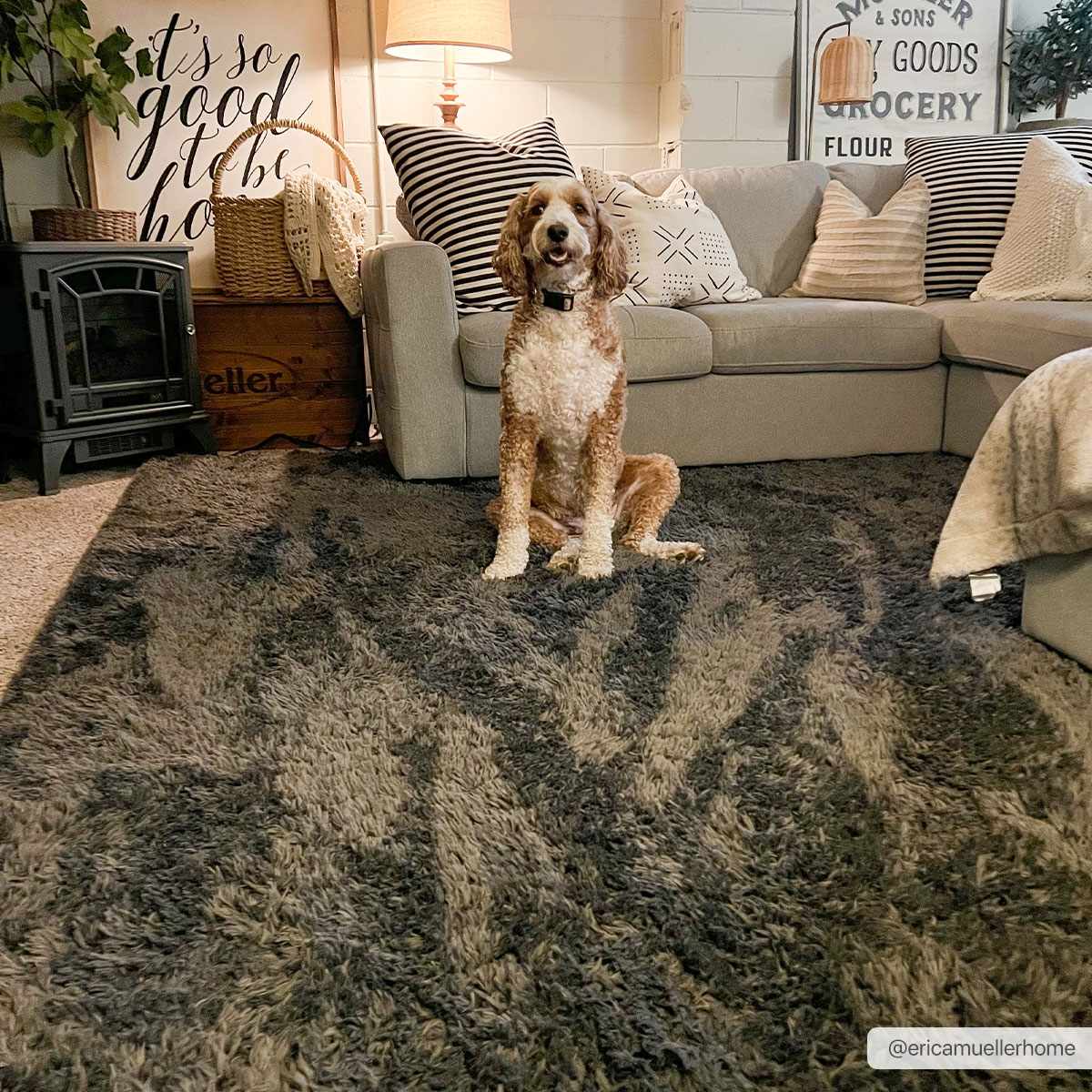 Black Allon Area Rug - Clearance - Ornate Home