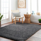 Black Allon Area Rug - Clearance - Ornate Home