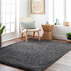 Black Allon Area Rug - Clearance - Ornate Home