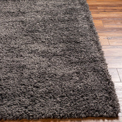 Black Allon Area Rug - Clearance - Ornate Home