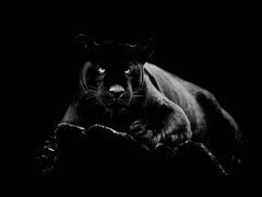 Black Panther Tempered Glass w / Foil Wall Art - Ornate Home