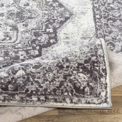 Bladensburg Carpet - Clearance - Ornate Home