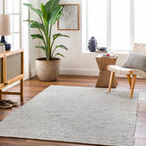 Blaga Area Rug - Clearance - Ornate Home