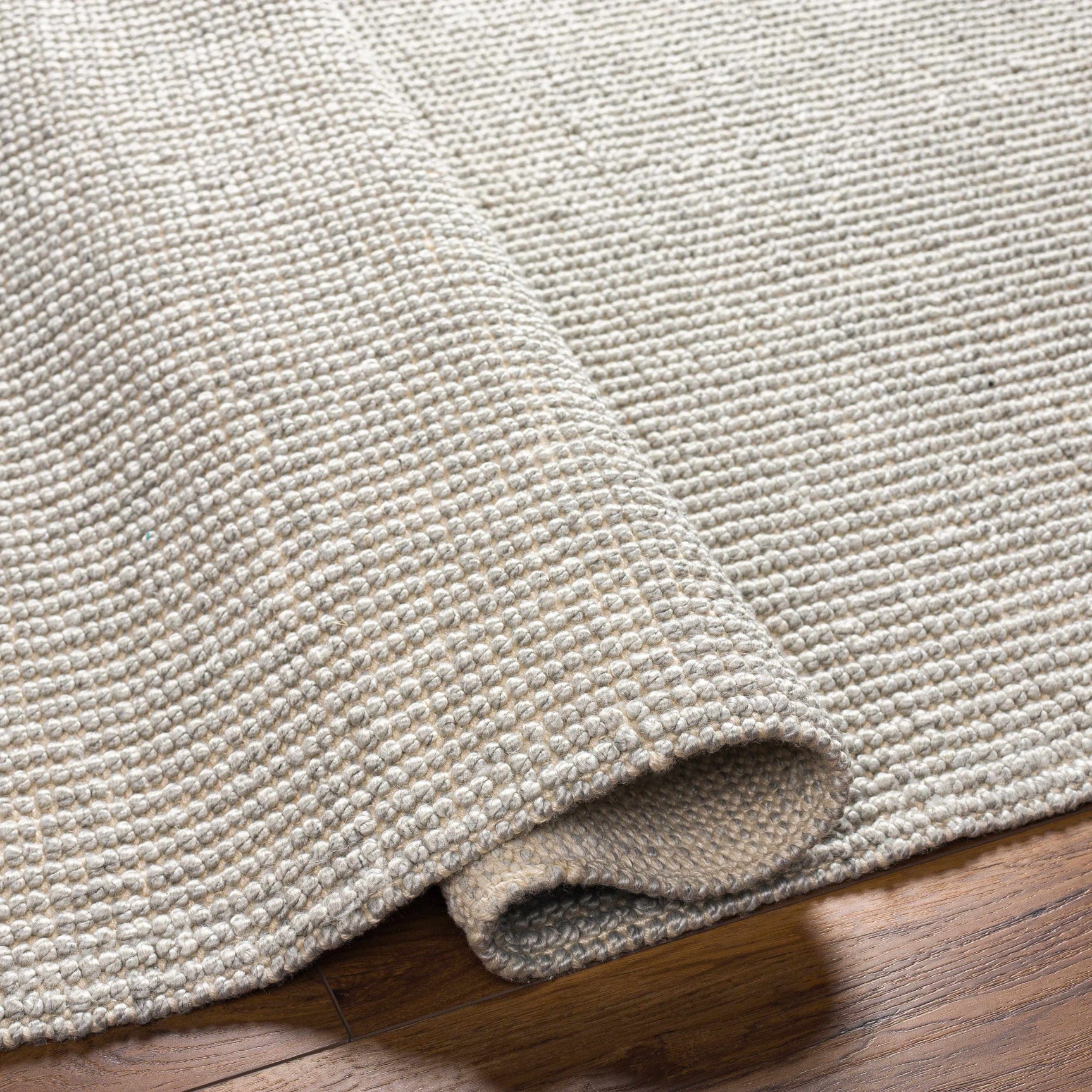 Blaga Area Rug - Clearance - Ornate Home