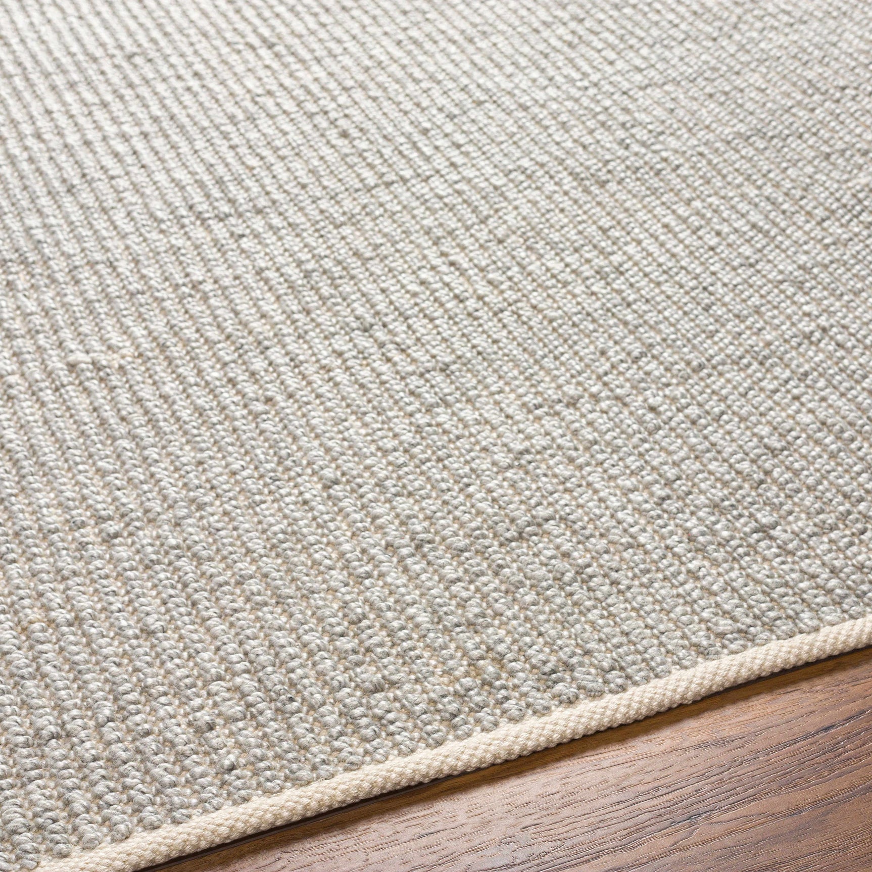 Blaga Area Rug - Clearance - Ornate Home
