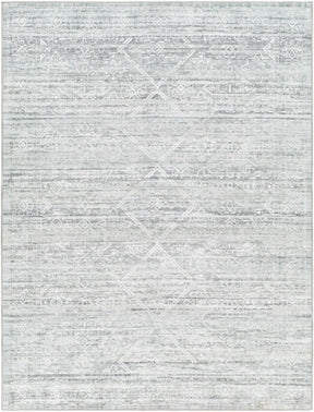 Blake Light Gray Washable Area Rug - Clearance - Ornate Home