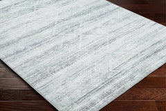 Blake Light Gray Washable Area Rug - Clearance - Ornate Home