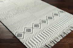 Blakeview Wool Rug - Clearance - Ornate Home
