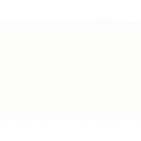 Blanche White Desk - Ornate Home