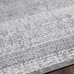 Blarney Area Rug - Clearance - Ornate Home