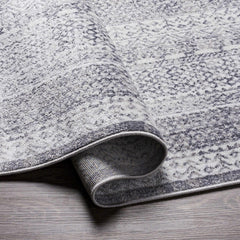 Blarney Area Rug - Clearance - Ornate Home