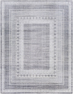 Blarney Area Rug - Clearance - Ornate Home