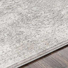 Blean Area Rug - Clearance - Ornate Home