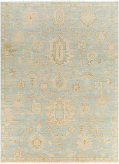 Blue Amiri Area Rug - Clearance - Ornate Home