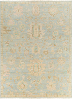 Blue Amiri Area Rug - Clearance - Ornate Home