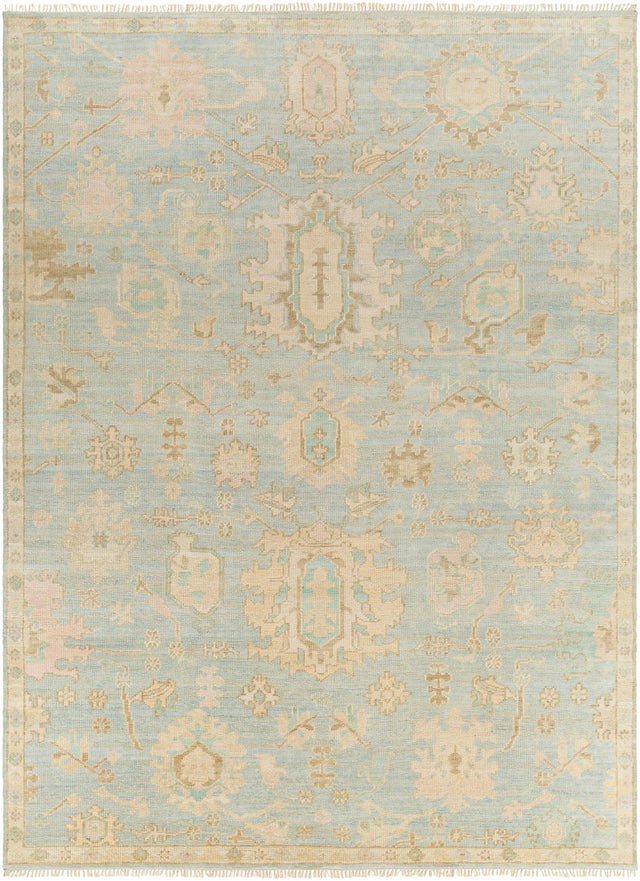 Blue Amiri Area Rug - Clearance - Ornate Home