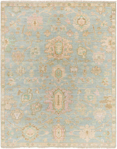 Blue Amiri Area Rug - Clearance - Ornate Home