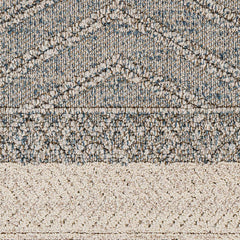 Blue Areli Outdoor Area Rug - Clearance - Ornate Home