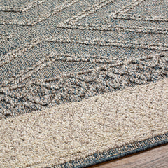 Blue Areli Outdoor Area Rug - Clearance - Ornate Home