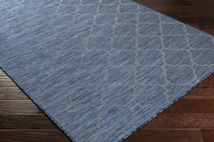 Blue Moolap Outdoor Rug - Clearance - Ornate Home