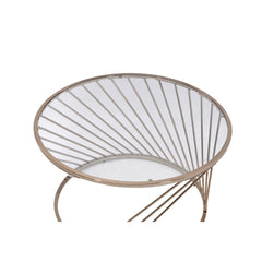 Bluelipe Champagne Metal & Glass Coffee Table - Ornate Home