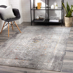 Boli Distressed Statement Rug - Ornate Home
