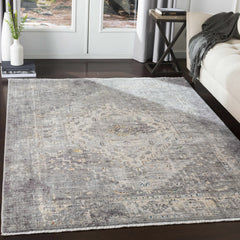 Boli Distressed Statement Rug - Ornate Home